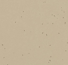 Линолеум Forbo Sphera Energetic 50237 mushroom фото 1 | FLOORDEALER